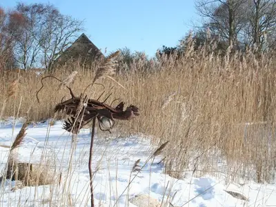 Ferienwohnung für 2 Personen (50 m²) in Wustrow (Ostseebad) 5/10