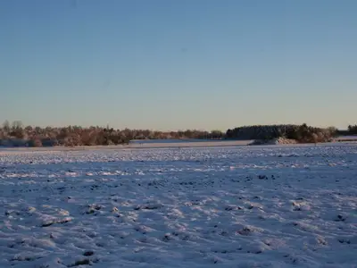 Ferienwohnung für 2 Personen (40 m²) in Wustrow (Ostseebad) 6/10