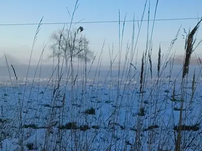Ferienwohnung für 4 Personen (99 m²) in Wustrow (Ostseebad) 9/10