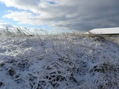 Ferienwohnung für 2 Personen (45 m²) in Wustrow (Ostseebad) 8/10