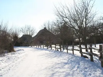 Ferienwohnung für 4 Personen (55 m²) in Wustrow (Ostseebad) 6/10