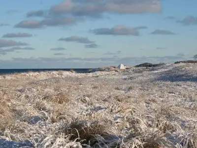 Ferienwohnung für 3 Personen (63 m²) in Wustrow (Ostseebad) 7/10