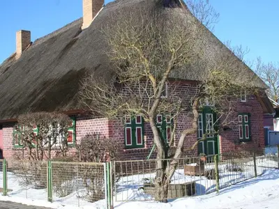 Ferienwohnung für 3 Personen (63 m²) in Wustrow (Ostseebad) 8/10