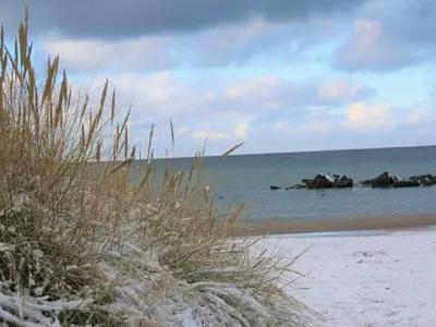 Ferienwohnung für 4 Personen (60 m²) in Wustrow (Ostseebad) 4/10