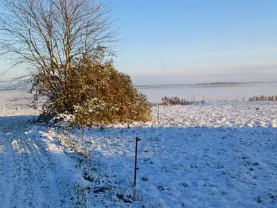 Ferienwohnung für 2 Personen (26 m²) in Wustrow (Ostseebad) 4/10