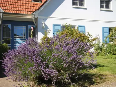 Ferienwohnung für 4 Personen (60 m²) in Wustrow (Ostseebad) 10/10