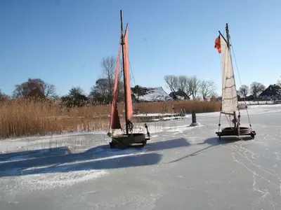 Ferienwohnung für 2 Personen (50 m²) in Wustrow (Ostseebad) 5/10