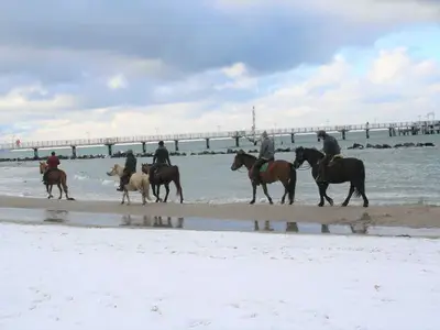 Ferienwohnung für 4 Personen (55 m²) in Wustrow (Ostseebad) 4/10