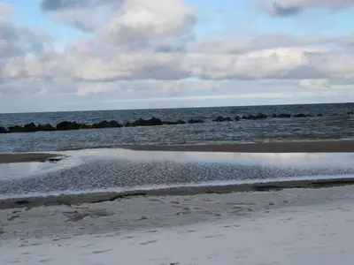 Ferienwohnung für 4 Personen (55 m²) in Wustrow (Ostseebad) 5/10