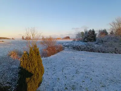 Ferienwohnung für 4 Personen (56 m²) in Wustrow (Ostseebad) 5/10