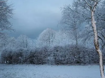 Ferienwohnung für 4 Personen (56 m²) in Wustrow (Ostseebad) 7/10