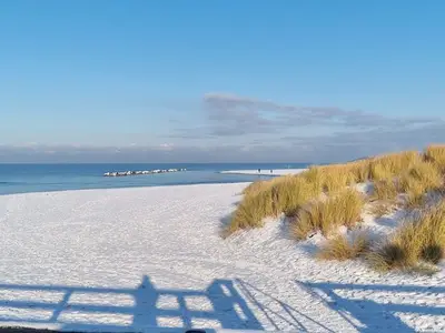 Ferienwohnung für 4 Personen (56 m²) in Wustrow (Ostseebad) 8/10