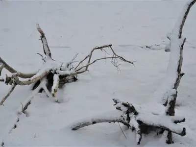 Ferienwohnung für 3 Personen (60 m²) in Wustrow (Ostseebad) 9/10