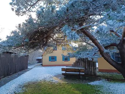 Ferienwohnung für 2 Personen (35 m²) in Wustrow (Ostseebad) 3/10