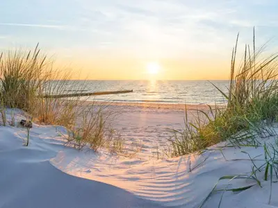 Ferienwohnung für 2 Personen (35 m²) in Wustrow (Ostseebad) 10/10