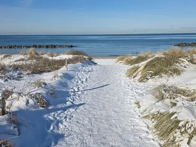Ferienwohnung für 6 Personen (90 m²) in Wustrow (Ostseebad) 10/10