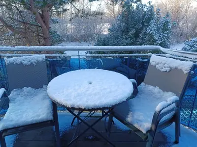 Ferienwohnung für 4 Personen (49 m²) in Wustrow (Ostseebad) 3/10