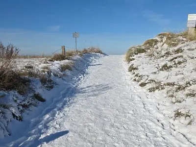 Ferienwohnung für 4 Personen (49 m²) in Wustrow (Ostseebad) 8/10