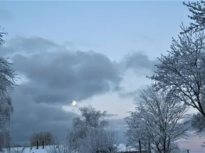 Ferienwohnung für 2 Personen (61 m²) in Wustrow (Ostseebad) 5/10