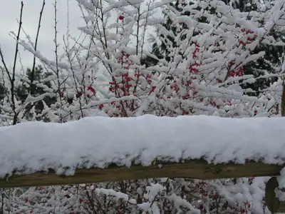 Ferienwohnung für 2 Personen (61 m²) in Wustrow (Ostseebad) 6/10