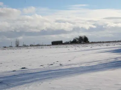 Ferienwohnung für 4 Personen (56 m²) in Wustrow (Ostseebad) 5/10