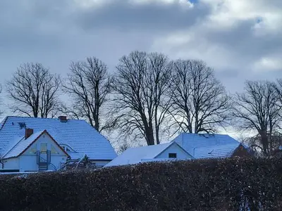 Ferienwohnung für 2 Personen (37 m²) in Wustrow (Ostseebad) 3/10