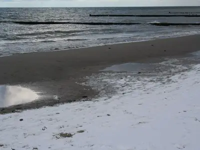 Ferienwohnung für 2 Personen (37 m²) in Wustrow (Ostseebad) 7/10