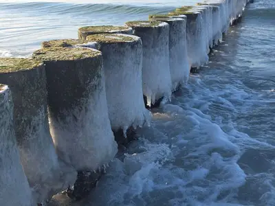 Ferienwohnung für 4 Personen (32 m²) in Wustrow (Ostseebad) 8/10