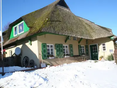 Ferienwohnung für 2 Personen (34 m²) in Wustrow (Ostseebad) 3/10