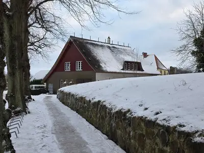 Ferienwohnung für 3 Personen (57 m²) in Wustrow (Ostseebad) 3/10
