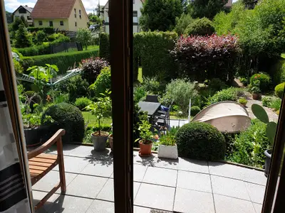 Ferienwohnung für 4 Personen (43 m²) in Wutha-Farnroda 4/10