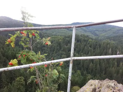 Ferienwohnung für 4 Personen (60 m²) in Wutha-Farnroda 6/10