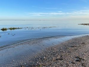 23909022-Ferienwohnung-2-Wyk auf Föhr-300x225-3