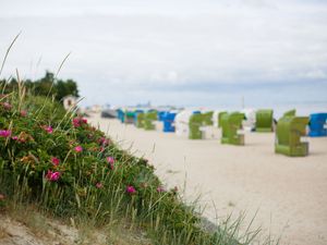 Ferienwohnung für 2 Personen (50 m²) in Wyk auf Föhr