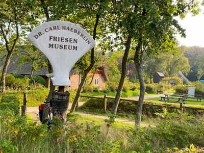 Ferienwohnung für 4 Personen (30 m²) in Wyk auf Föhr 10/10