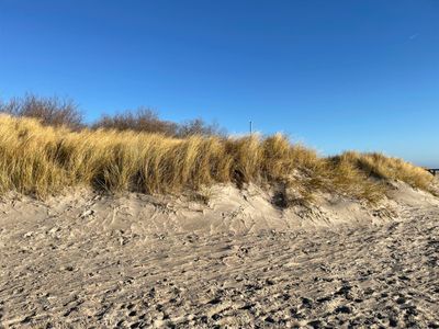 Ferienwohnung für 2 Personen (50 m²) in Wyk auf Föhr 5/10