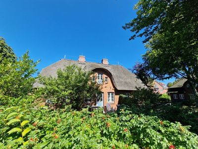 Ferienwohnung für 4 Personen (120 m²) in Wyk auf Föhr 2/10