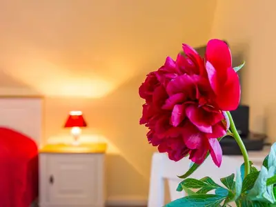 Ferienwohnung für 2 Personen (40 m²) in Wyk auf Föhr 10/10