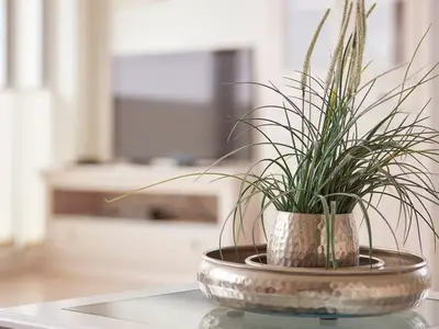 Ferienwohnung für 4 Personen (78 m²) in Wyk auf Föhr 8/10