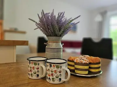 Ferienwohnung für 4 Personen (70 m²) in Wyk auf Föhr 10/10