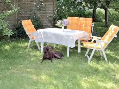 Ferienwohnung für 5 Personen (75 m²) in Wyk auf Föhr 4/10