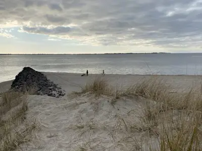 AreaSummer1KM