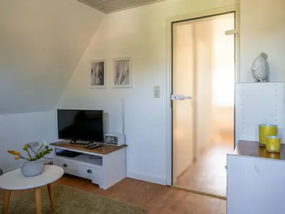 TV / Multimedia