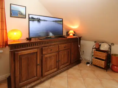 Multimedia