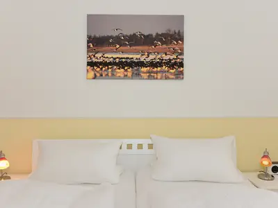 Ferienwohnung für 2 Personen (32 m²) in Wyk auf Föhr 3/10