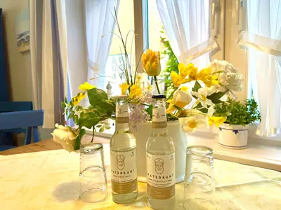 Ferienwohnung für 4 Personen (55 m²) in Wyk auf Föhr 8/10