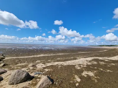 Ferienwohnung für 1 Person (28 m²) in Wyk auf Föhr 7/7