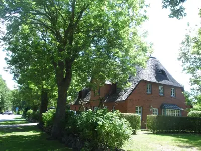 Ferienwohnung für 4 Personen (45 m²) in Boldixum 1/10