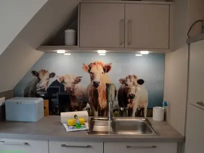 Ferienwohnung für 5 Personen (62 m²) in Wyk auf Föhr 5/10