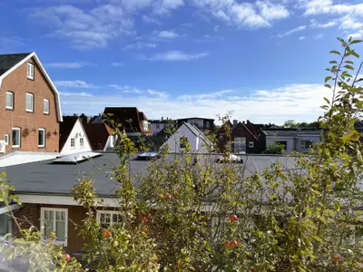 Ferienwohnung für 3 Personen (45 m²) in Wyk auf Föhr 5/10